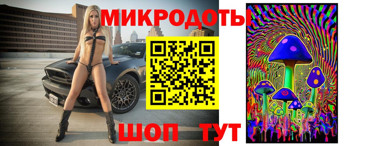 Галлюциногенные грибы Psilocybine cubensis Киселёвск