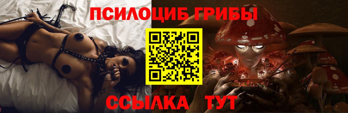 Псилоцибиновые грибы MAGIC MUSHROOMS  Вход с VPN  Псилоцибиновые грибы мухоморы  Киселёвск 
